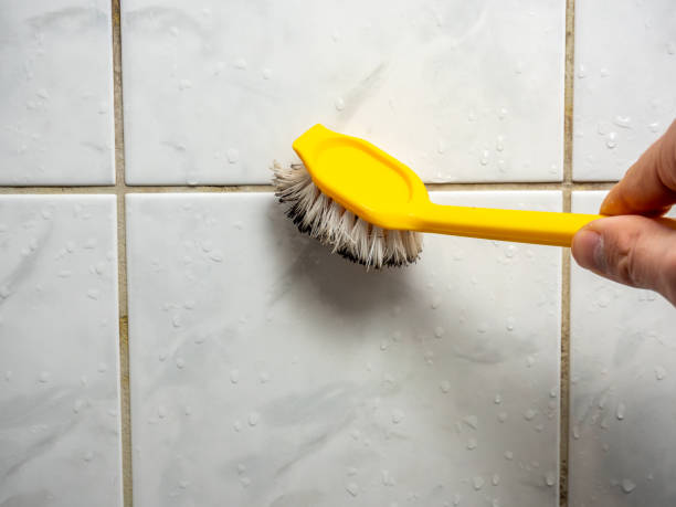 Best DIY Mold Remediation Support Services in Norris, TN