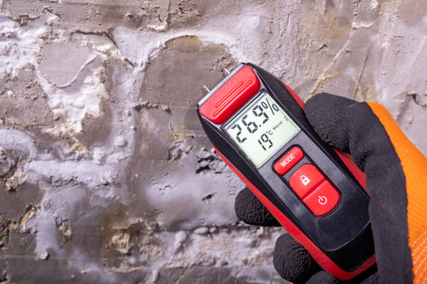 Best Emergency Mold Remediation in Norris, TN